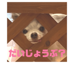 502916012