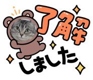 502918110