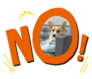 502919365