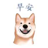502923822