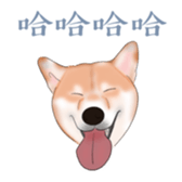 502923826
