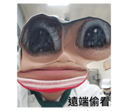 502933055