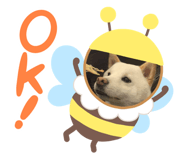 502939060