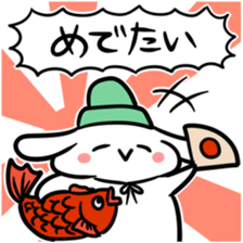 5029416