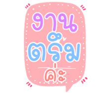 502954553