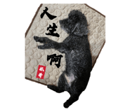 502966474