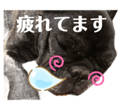 502998515