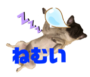502998517