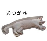 503004008