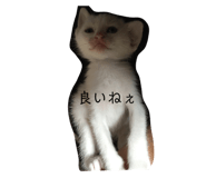 503004012