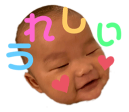 503004894