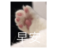 503016198