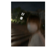 503016267