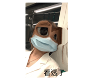 503016269