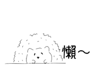 503016950