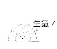 503016952