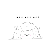 503016953