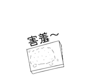 503016954