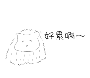 503016955