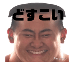 503033144