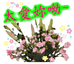503041064