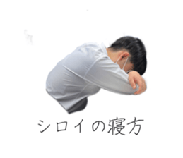503041488