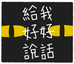 503048801
