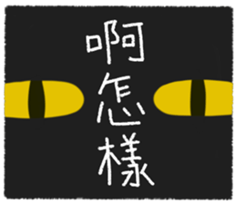 503048803