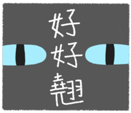503048805