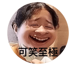 503053126