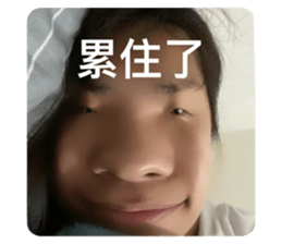 503053130