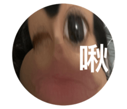 503053135