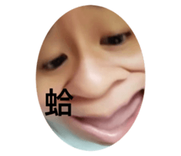 503053147