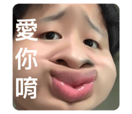503053149