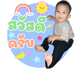 503060454