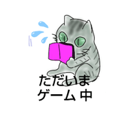 503063640