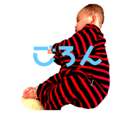 503072626