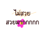 503079150