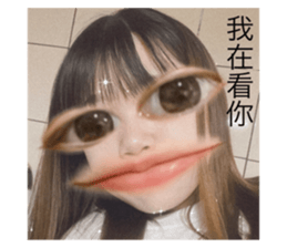 503082790