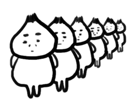 5030907