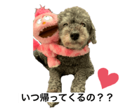 503093790
