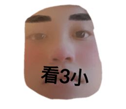 503094945