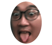503096404