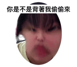 503102562