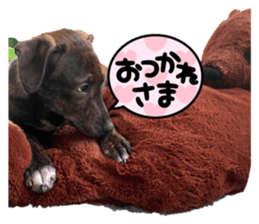 503103103
