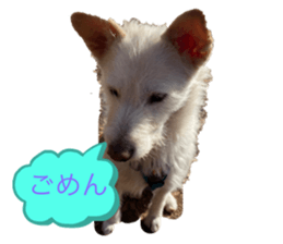 503103131