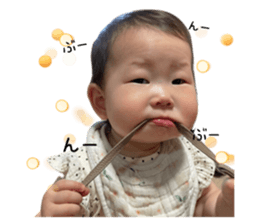 503109546