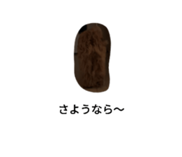 503123368