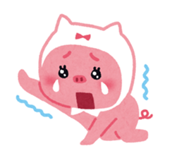 503126