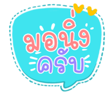 503137651